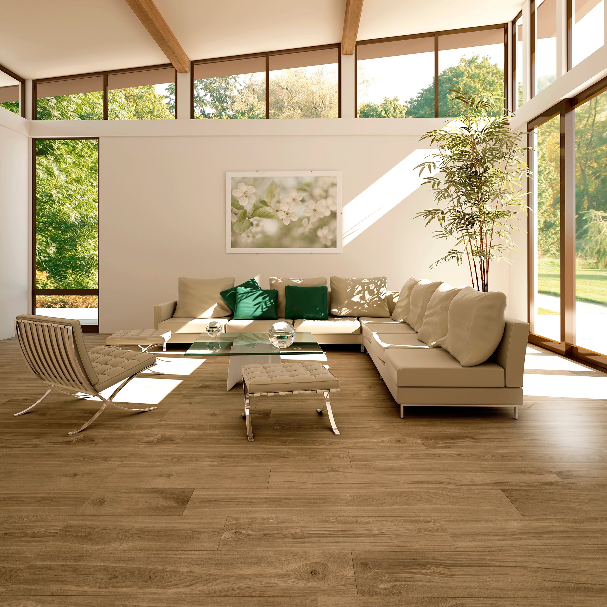 Timber Realistic Wood Look Porcelain Tile Collection