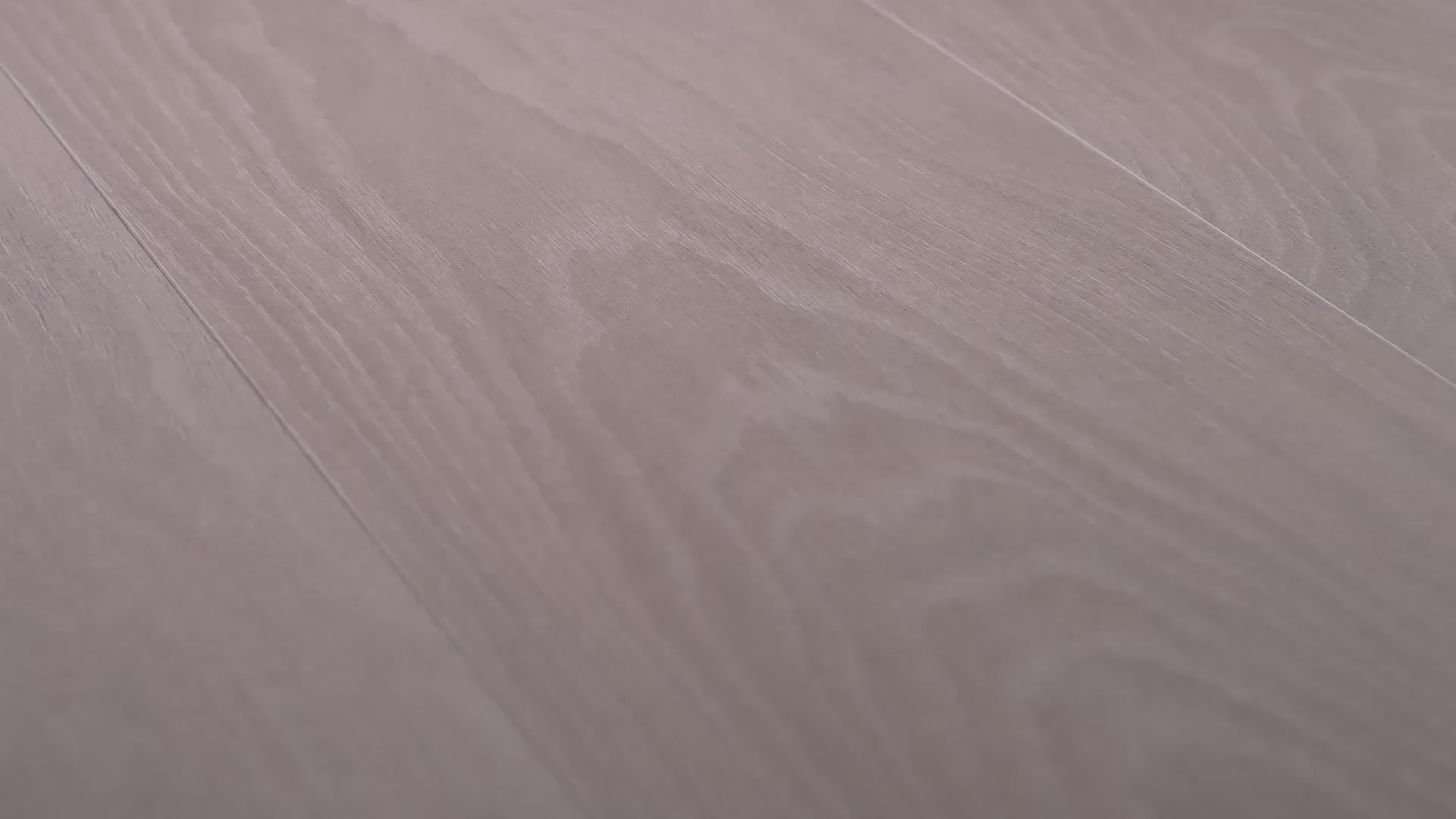Load video: TAU Ceramica BETELU Porcelain Tile | Wood-Look Interior Floor Tile | 20 x 120 cm Plank