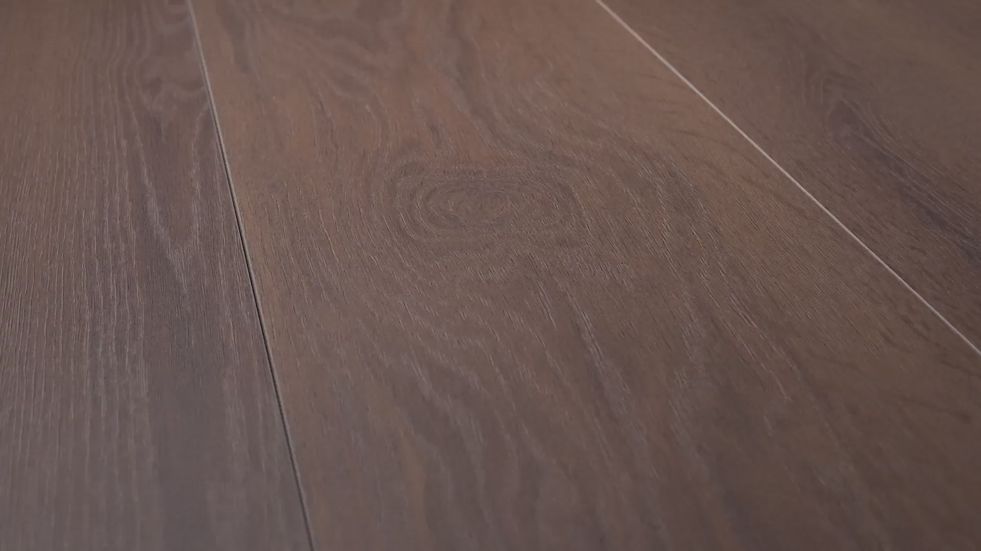 Load video: TAU Ceramica BETELU Porcelain Tile | Wood-Look Interior Floor Tile | 20 x 120 cm Plank