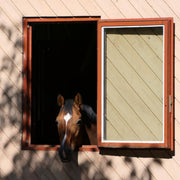 Stallfenster Stable & Barn Window | Custom Stall Window System | PVC-Aluminum / Wood-Aluminum Frames