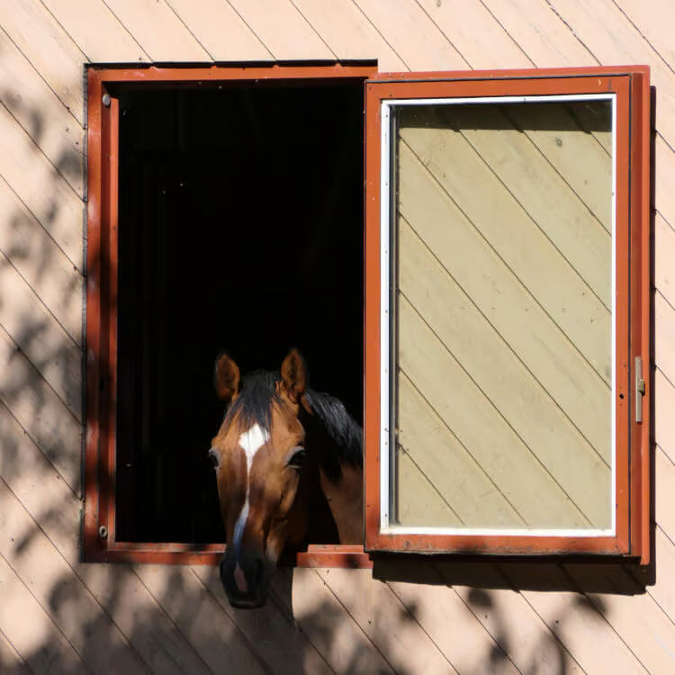 Stallfenster Stable & Barn Window | Custom Stall Window System | PVC-Aluminum / Wood-Aluminum Frames