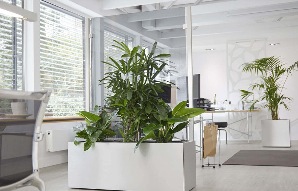 Glass Room Divider with Integrated Planter – Planter Plus System